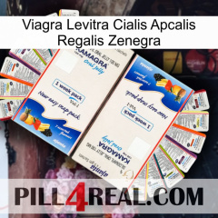 Viagra Levitra Cialis Apcalis Regalis Zenegra kamagra1